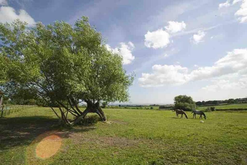 Edge Barn Holiday home Woolaston
